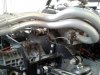 20170415_075849.jpg