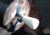wood turning 2.jpg