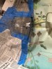 IMG_0094.jpeg