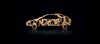 my new car.JPG