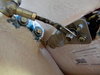 DSCN0748.JPG