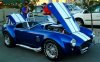 Our cobra at the diner.JPG