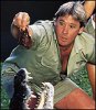 steveirwin.jpg