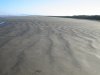 Invercargill1.JPG