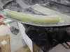 DSCN0855.JPG
