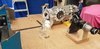 M20-Transaxle-Shifter.jpg