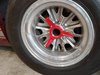 20190316_135147_resized.jpg