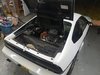 fiero 3.jpg