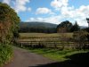 Dscn1617small.jpg