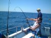 fish7.jpg