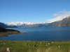 106-0683_IMG.JPG