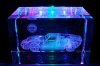 GT40crystalC.jpg