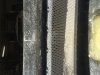 IMG_3300.JPG