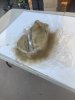IMG_5515.jpeg