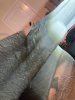 IMG_5362.jpeg
