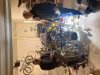 IMG_5978.jpeg