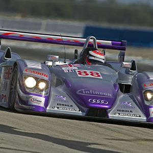 Team audi lizzle