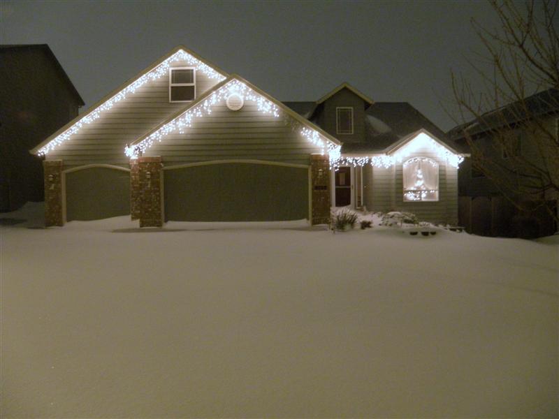 1_Christmas_2008.JPG